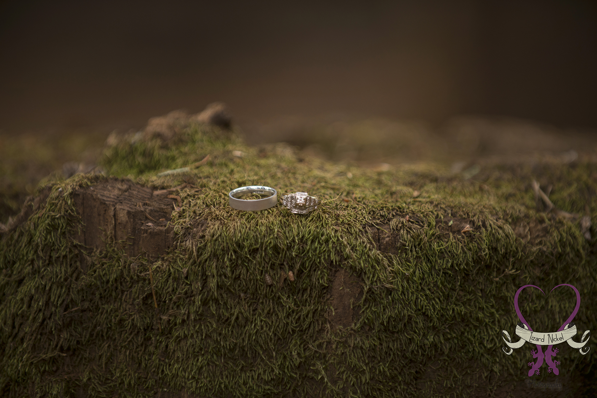 midland wedding photographer