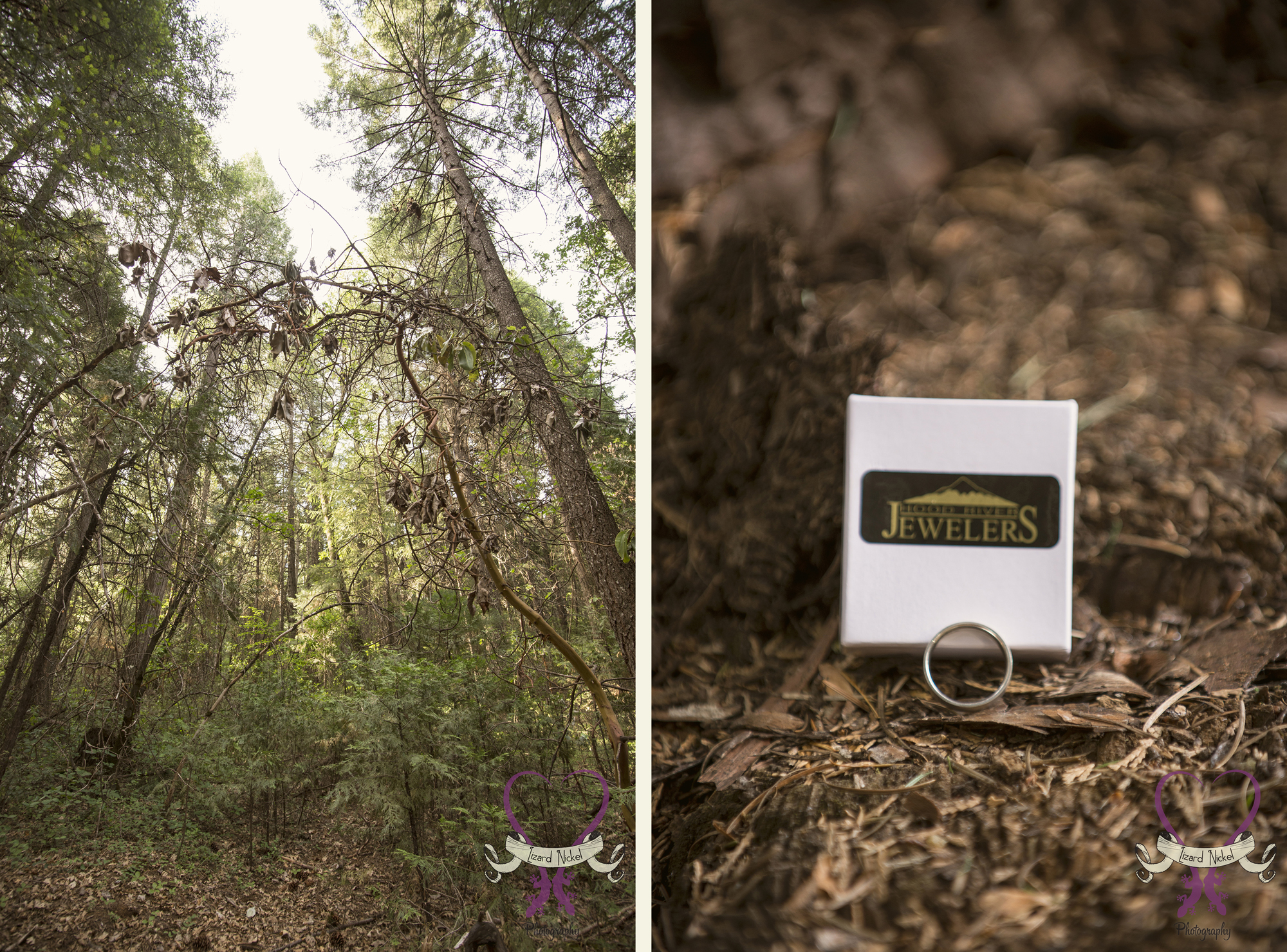 midland wedding photographer